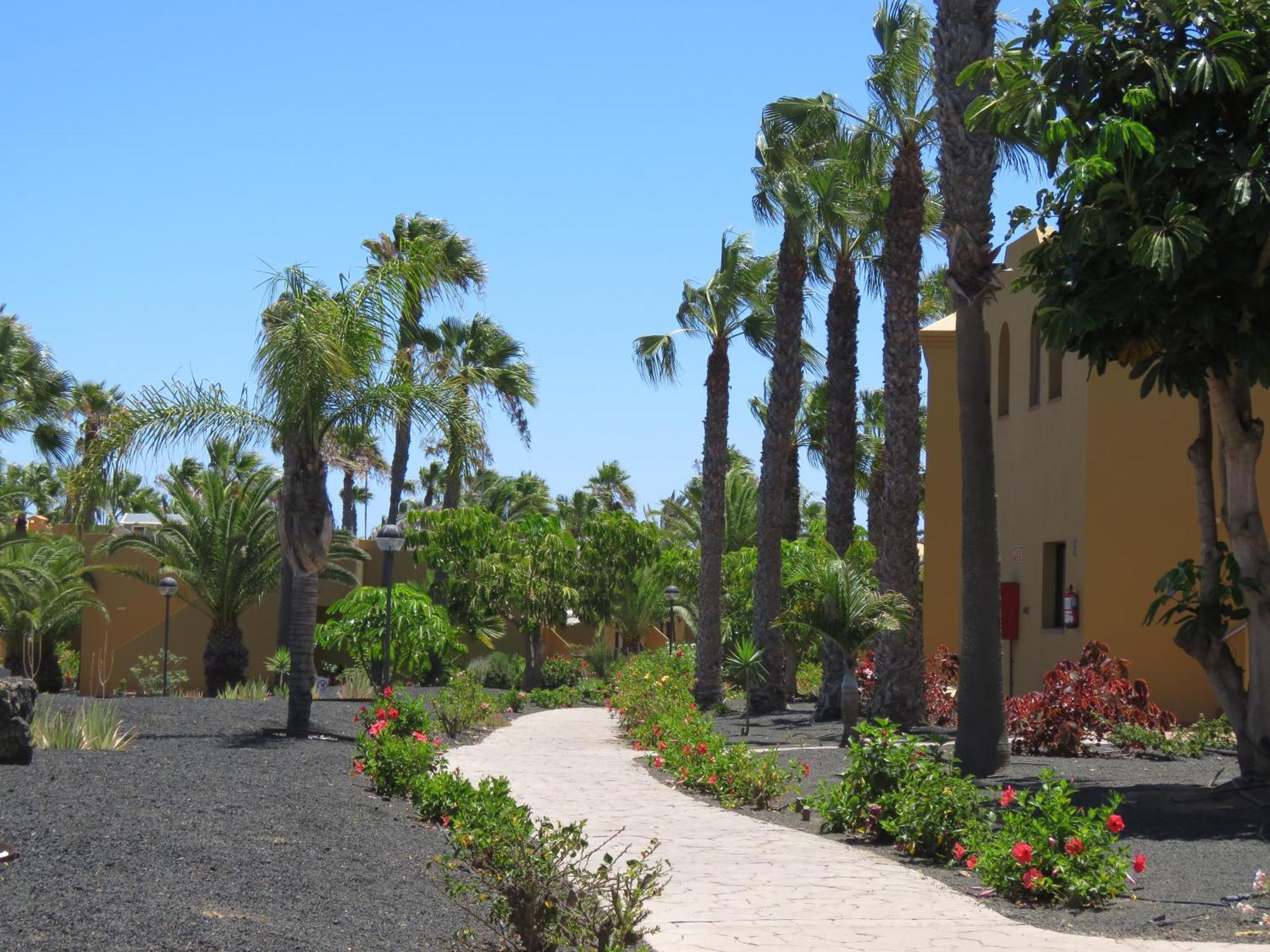 Casa Mona Apartment Corralejo Luaran gambar